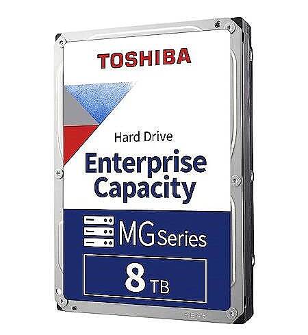MG10 8TB 7200Rpm 512MB 7/24 Güvenlik Diski - Enterprise - 2